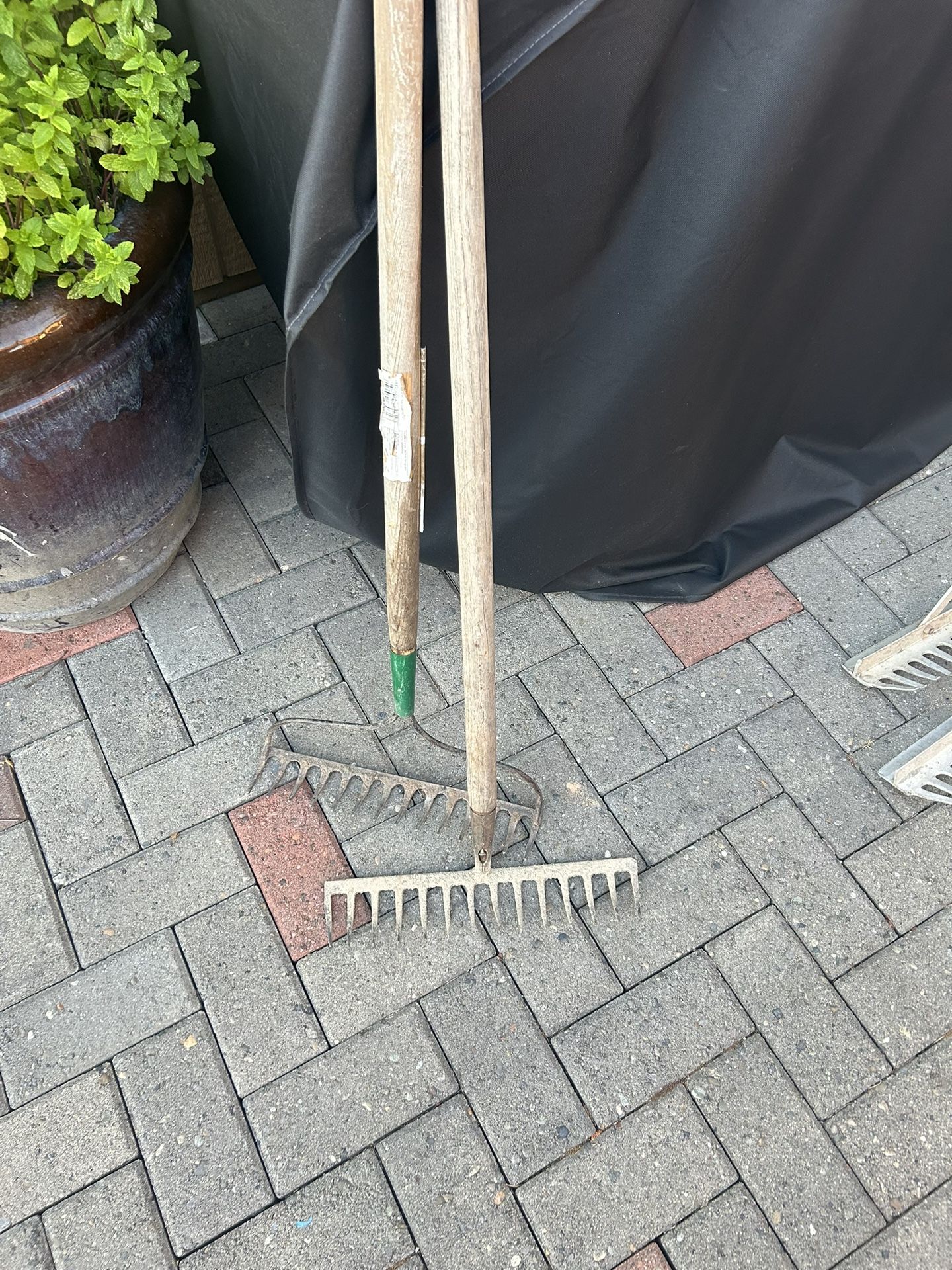 rakes