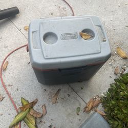 Cooler