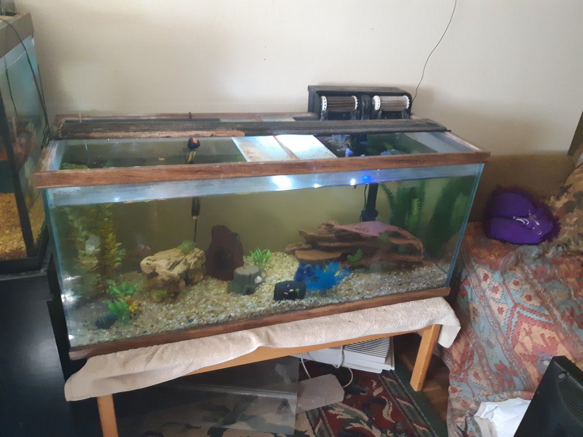 90 Gallon Fish Tank Comes With Everything