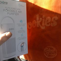 Mini Air Purifier For Car With Orange Cookies Suede Carry Bag