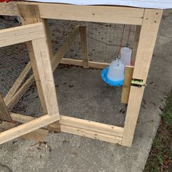 Chicken Coop