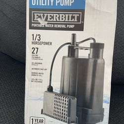 Utility pump