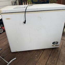 Chest Freezer 