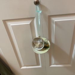 Hanging Tea Cup Bird Feeder