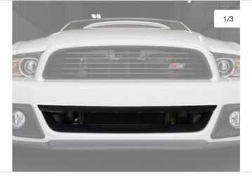 Roush grill mustang