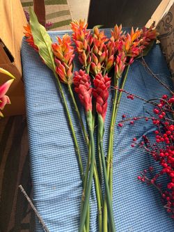 Fresh Tropical ginger lily Flower Stems