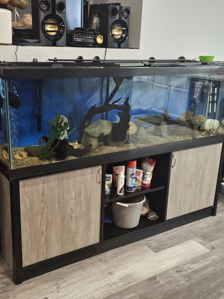 Fish Tank