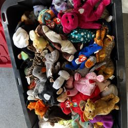 160 beanie baby’s read ad before messaging 