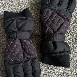 Ski / Mountain Mittens
