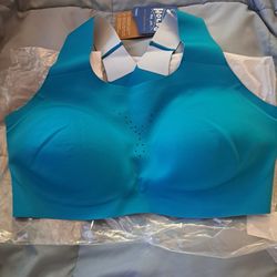 Brooks Holds Sports Bra