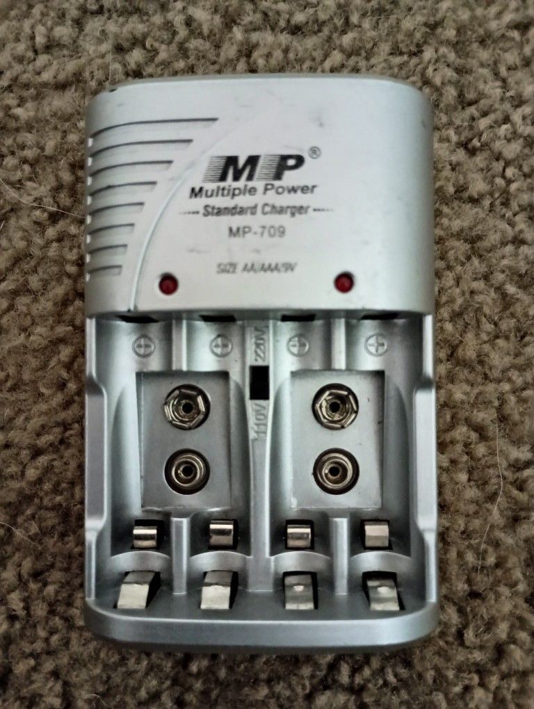 Multiple Power Standard Charger