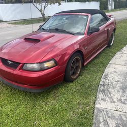 2002 Mustang GT Convertible