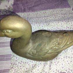 Brass Duck