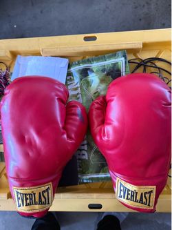 Everlast Boxing Gloves
