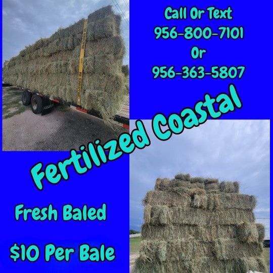 Coastal Hay Bales