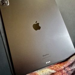 iPad PRO 256 GB M4 13 Inch Wireless  —98% Battery Life 