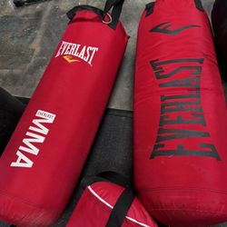 Everlast MMA Bag