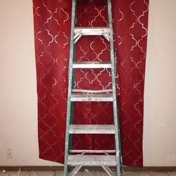 6 Foot Ladder