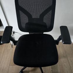 Office Chair With Ergonomic Back Support
