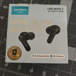 Earbuds( Please Read Description)