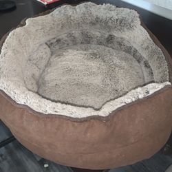 cats bed 