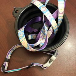 Dog Collar, Lease And Collapsible Bowl Set