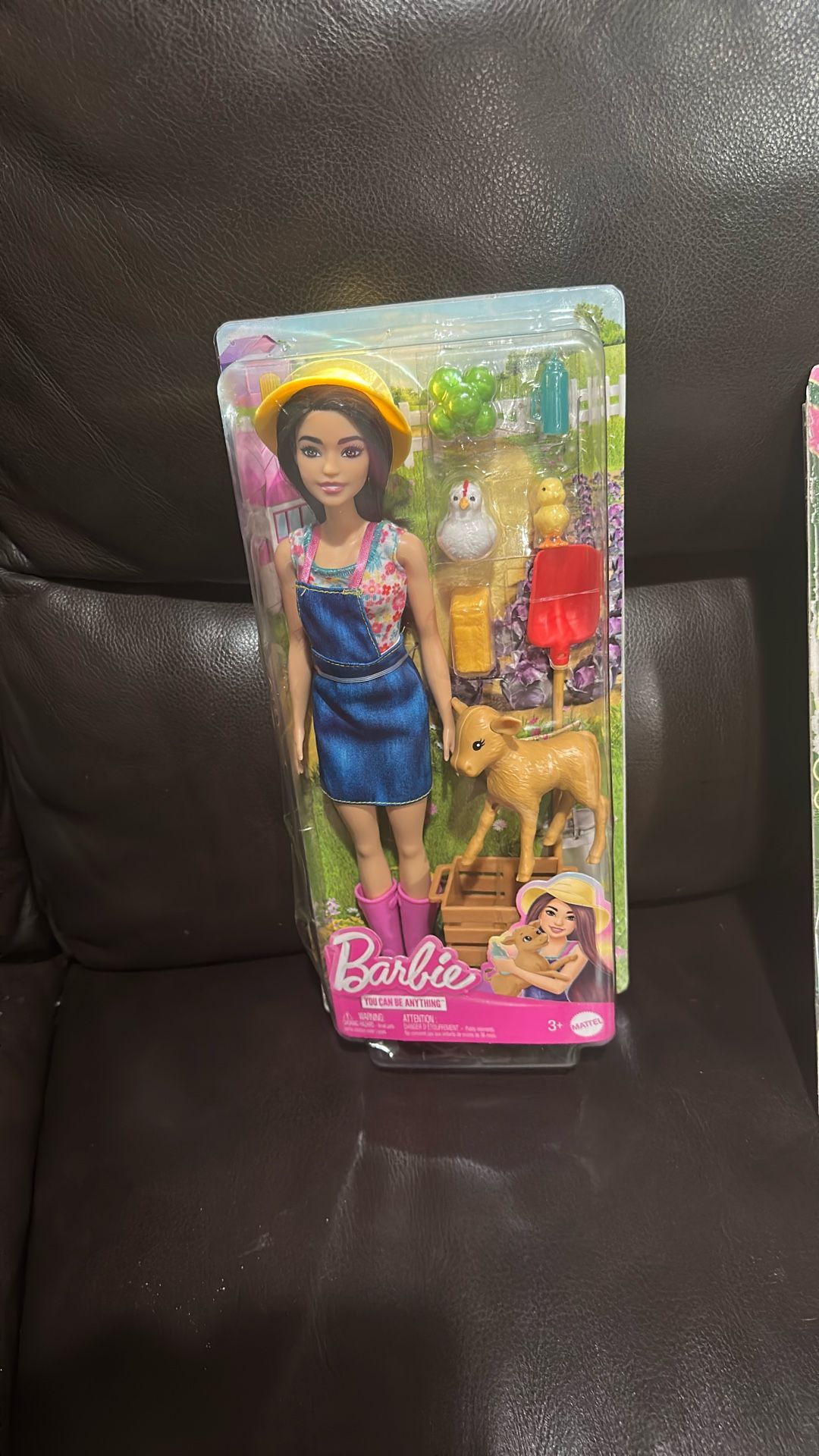 Barbie Dolls & Sets