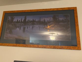Campfire lake. 200$ OBO (Open to trades)
