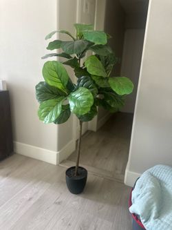 Faux Artificial Plant