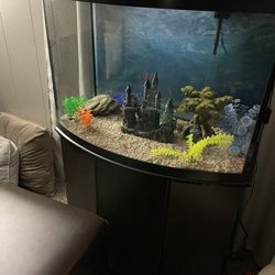 30 Gallon Fish Tank And Stand