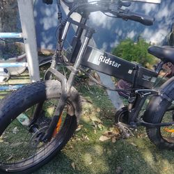 Ridstar Electric bike