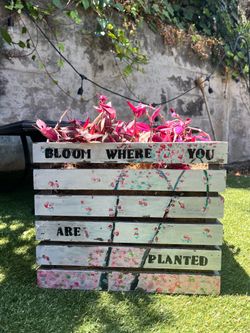 Hand-Painted “Bloom Where You Are Planted” Planter with Pink / Purple Tradescantia