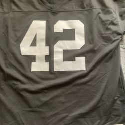 Authentic Raider Jersey 