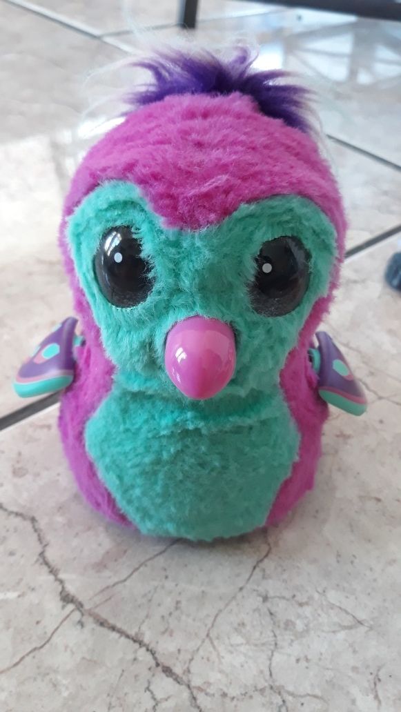 Hatchimal, LPS, and other assorted toys