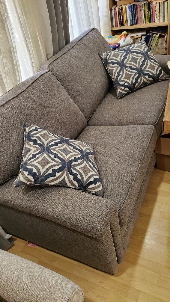 Costco Synergy Sleeper Sofa Baci Living Room