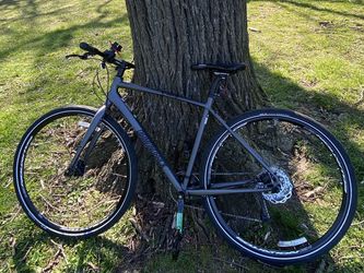 DiamondBack Haanjo 1