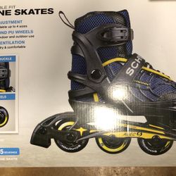 Schwinn Skates