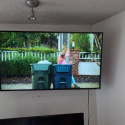 Vizio Monitor 