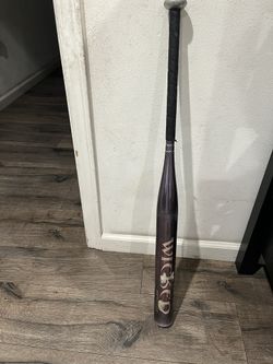 Fast Pitch Bat