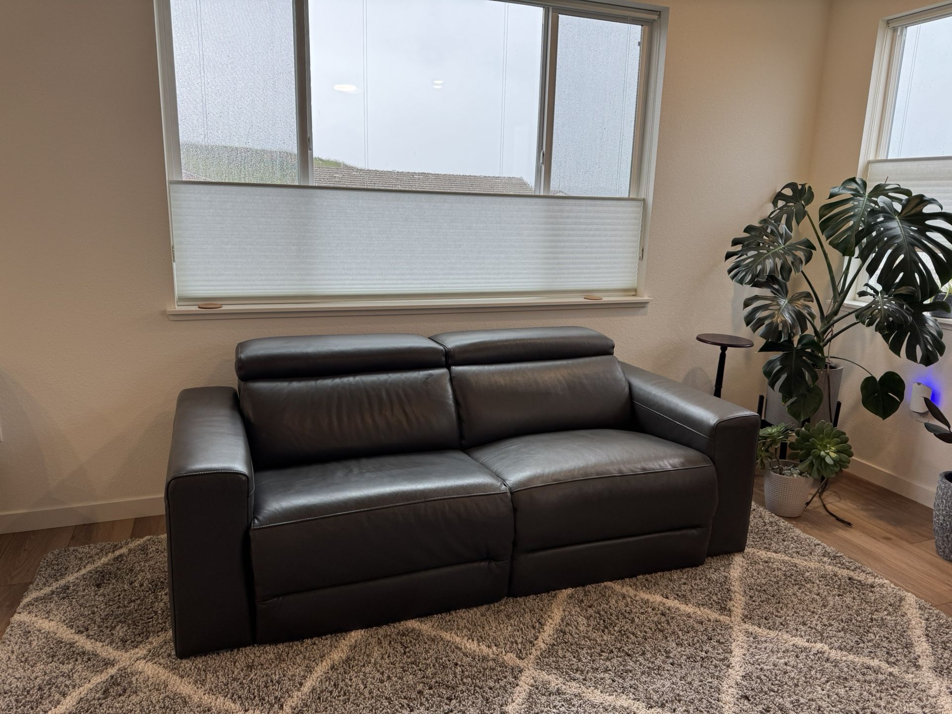 Leather Recliner Couch