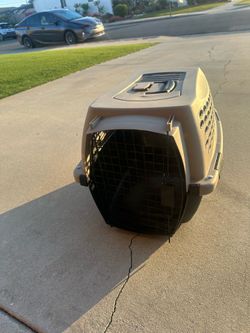 Animal carrier