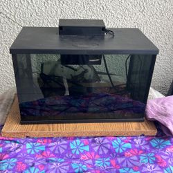 Fish Tank