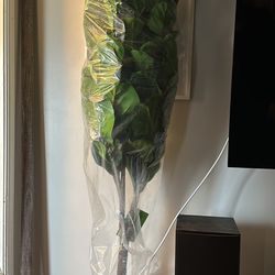 Artificial Fig Tree