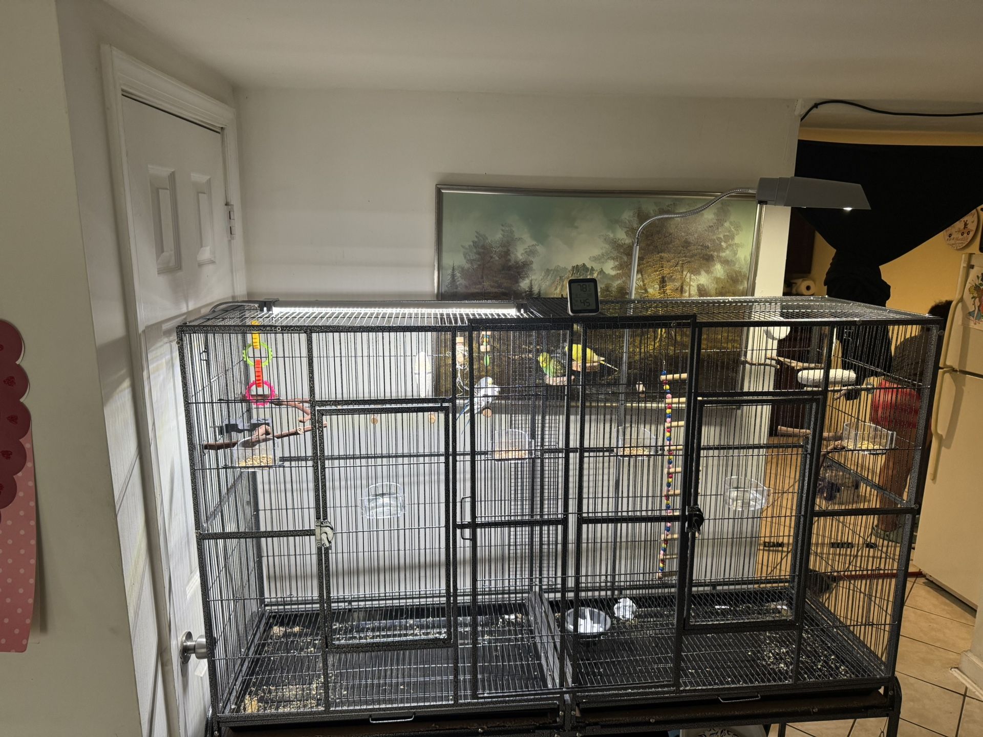 Birdcage