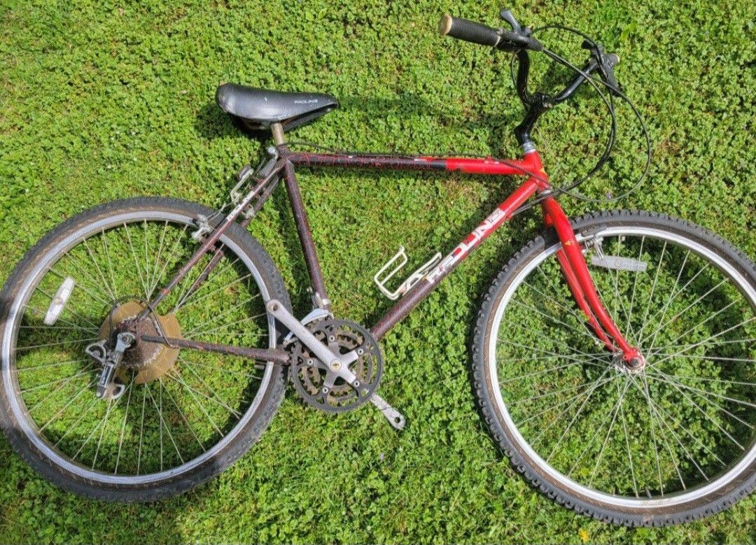 Redline Mountain Bike Bmx Paint 26 Inch Cruiser Beeds Work