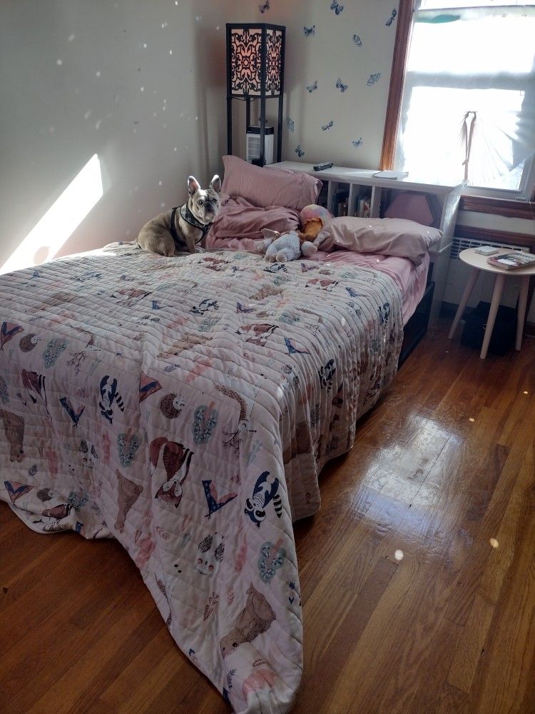 Queen Sized Mattress With Frame