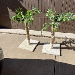 Display plants $24