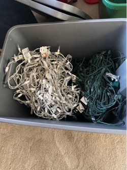 Holiday/Christmas Lights