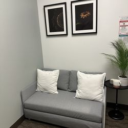 FRIDHULT IKEA SLEEPER SOFA (brand new) W/ 2 Side pillows. 