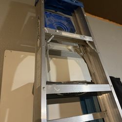 Werner Aluminum Ladder